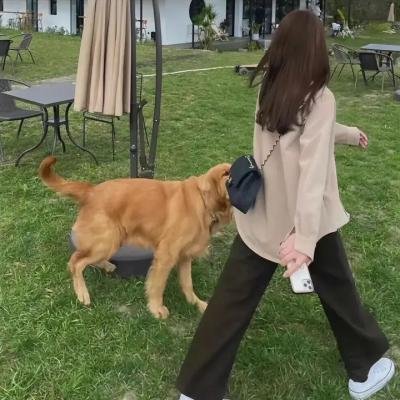 隐藏的大明星