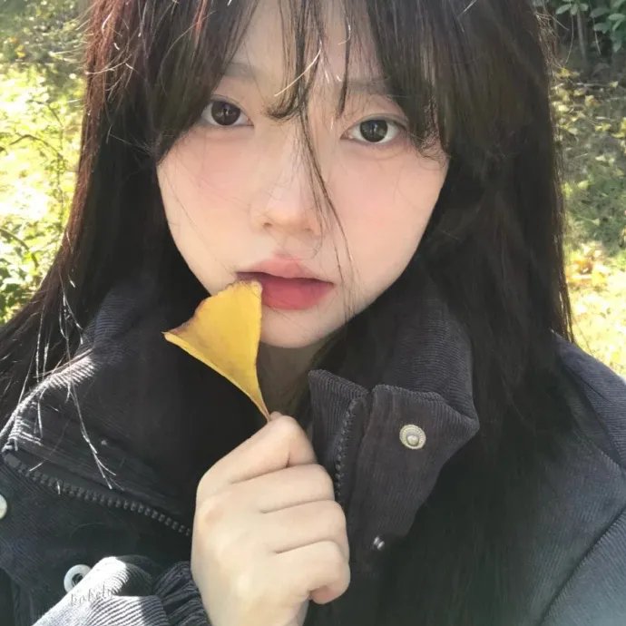 陆昭昭的刺客笔记